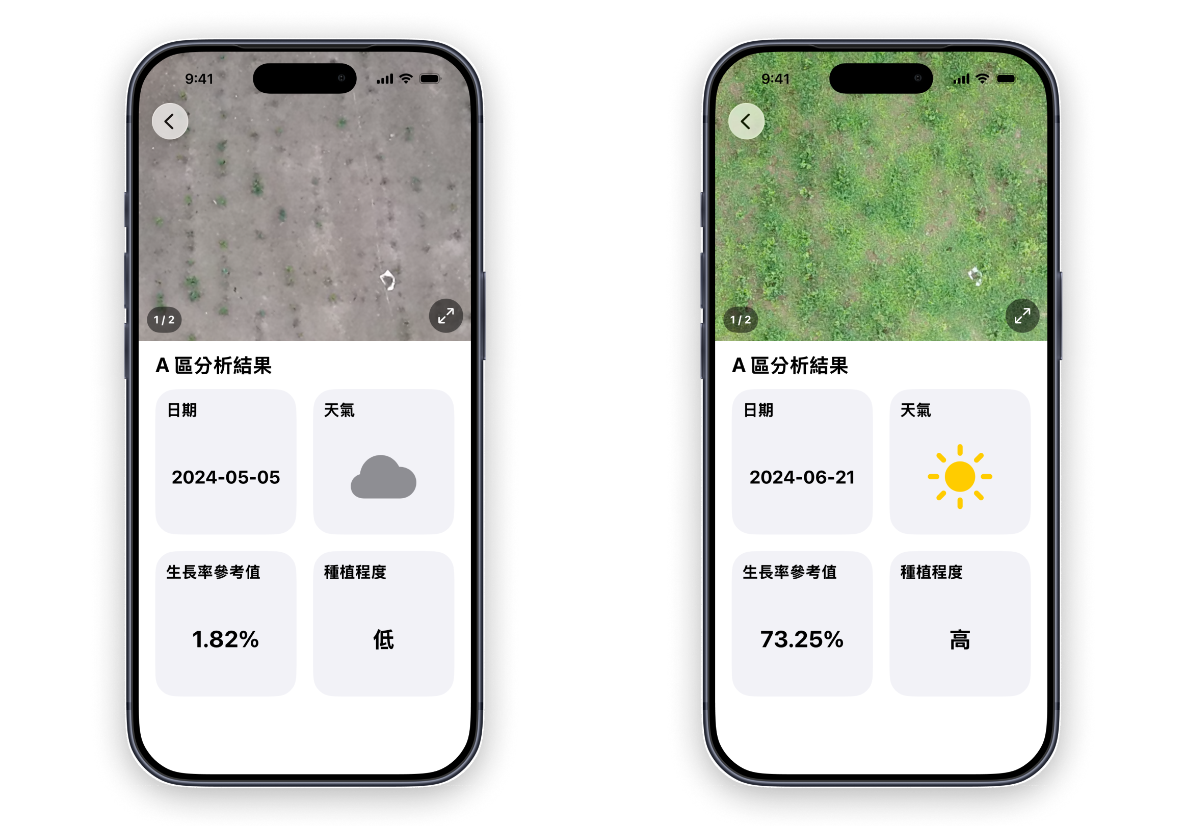 Tea farm image analysis results